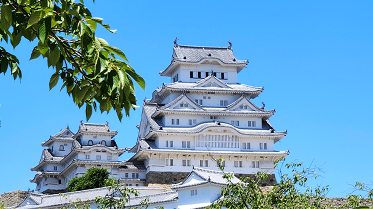Himeji Castle is a structure coated in white paint.