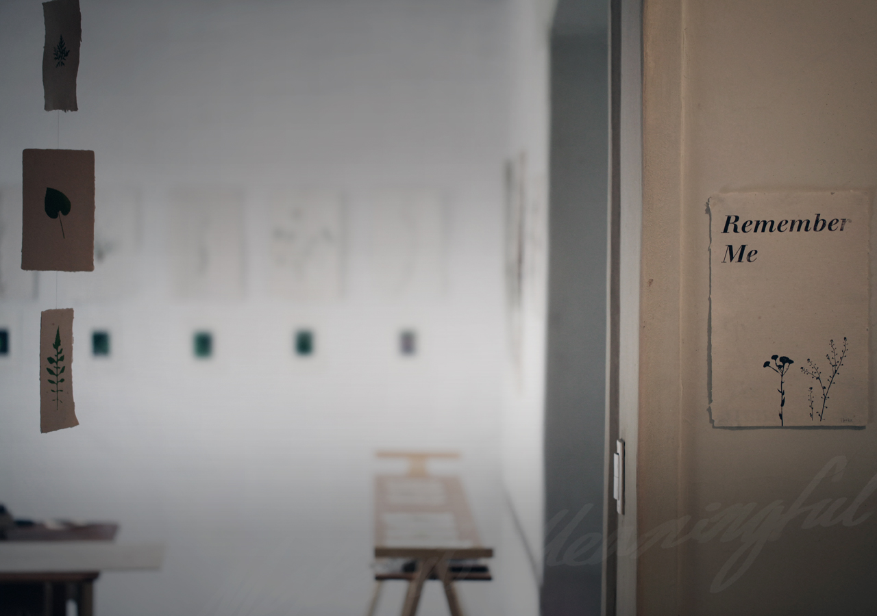 Dawoon Chung’s work. The background image automatically turns to next image.