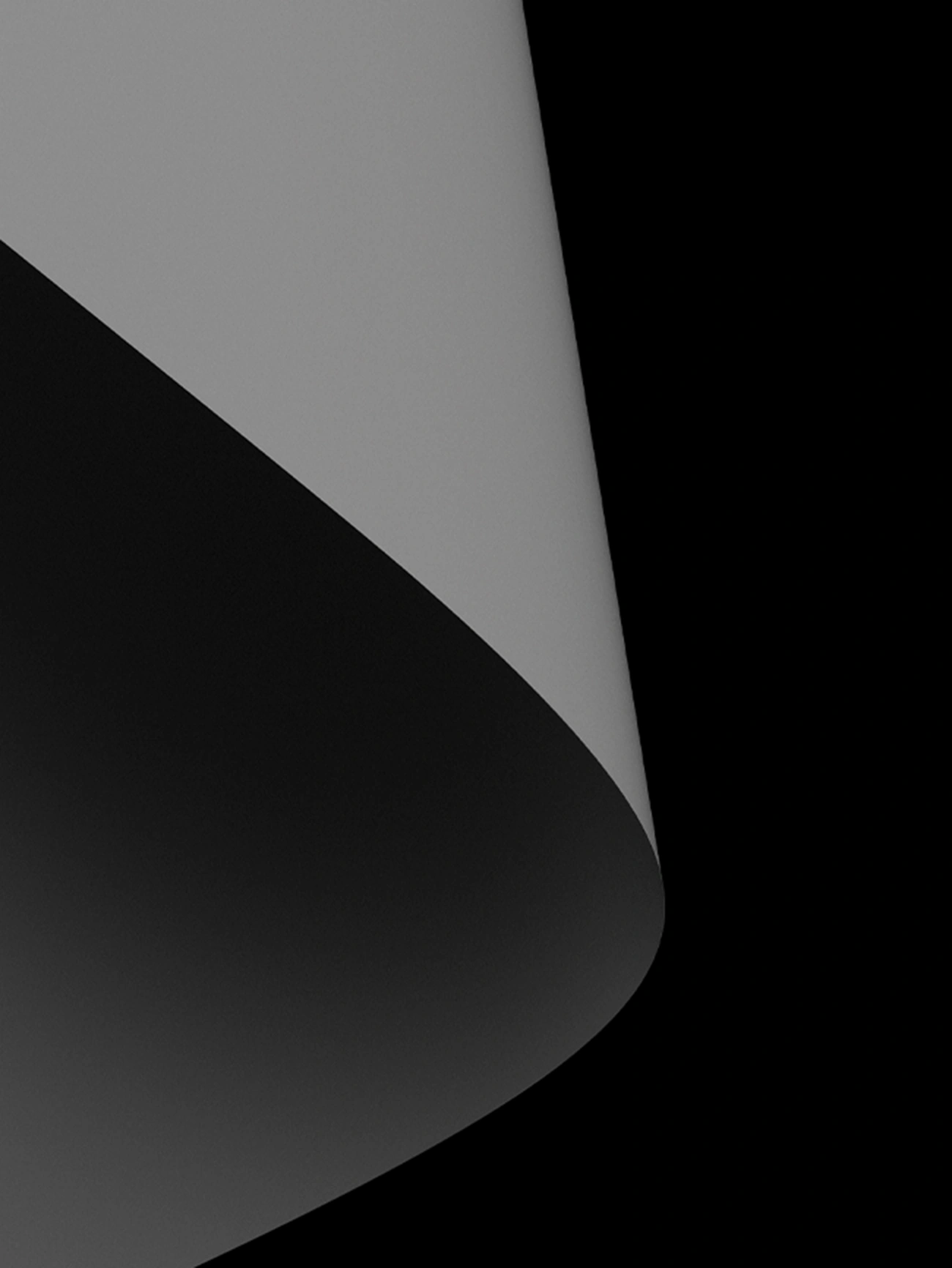 A design where smooth curves and clearly defined forms are harmoniously combined