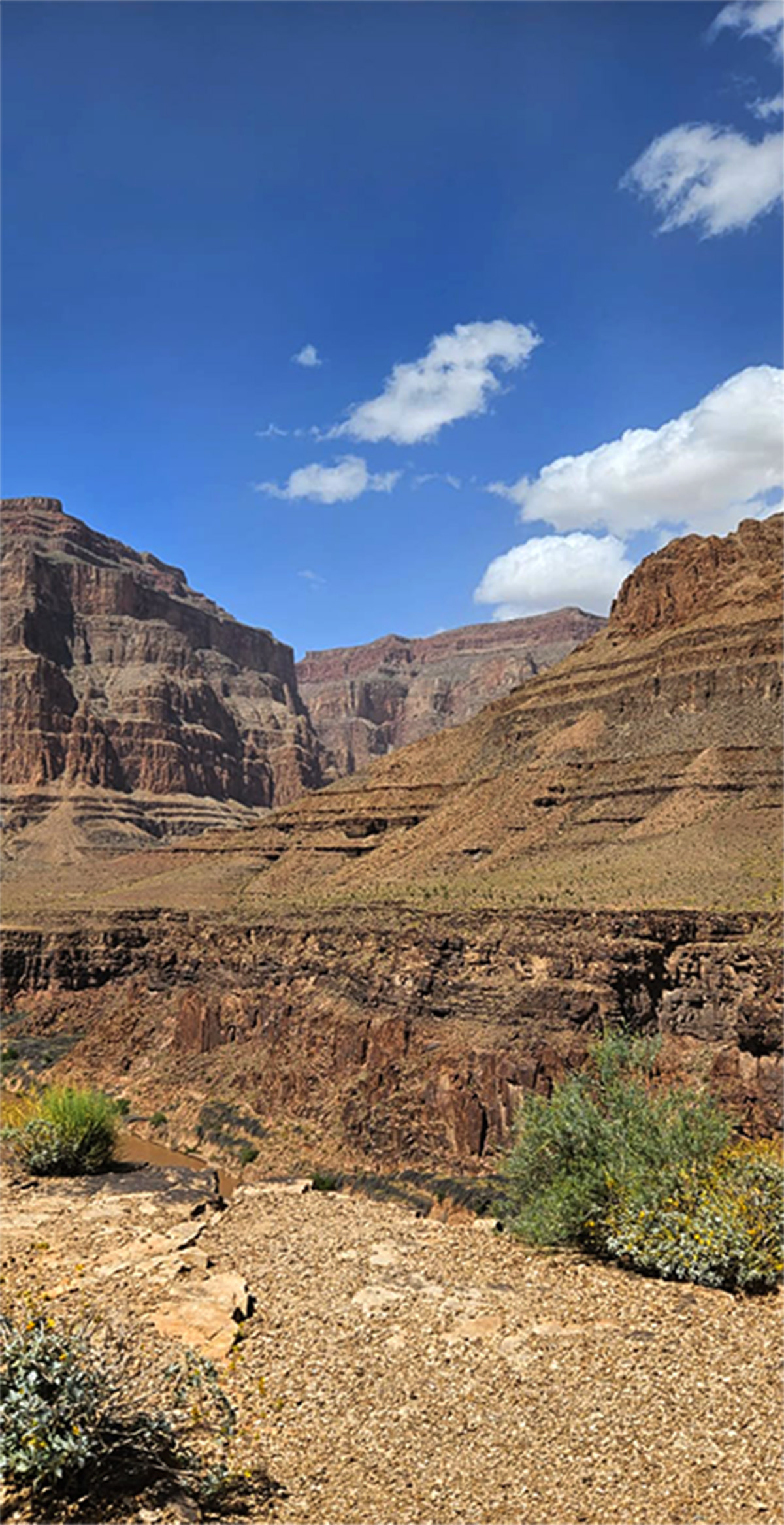 A daytime view of the Grand Canyon.