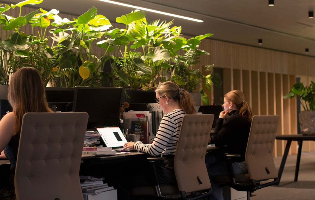 A cozy workspace surrounded by lush greenery. The harmonious blend of nature and focus creates a calming atmosphere as people work diligently.