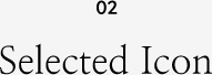 02 Selected Icon