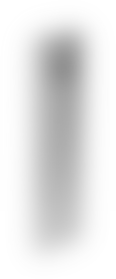 The gray Samsung Galaxy Note 8 model.