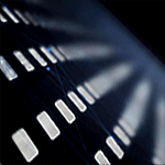 An image relating to Sharply Refined Details