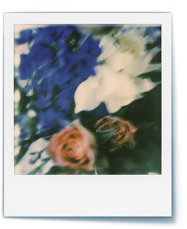 A polaroid photograph shows floral images captured by artist GiSeok Cho.