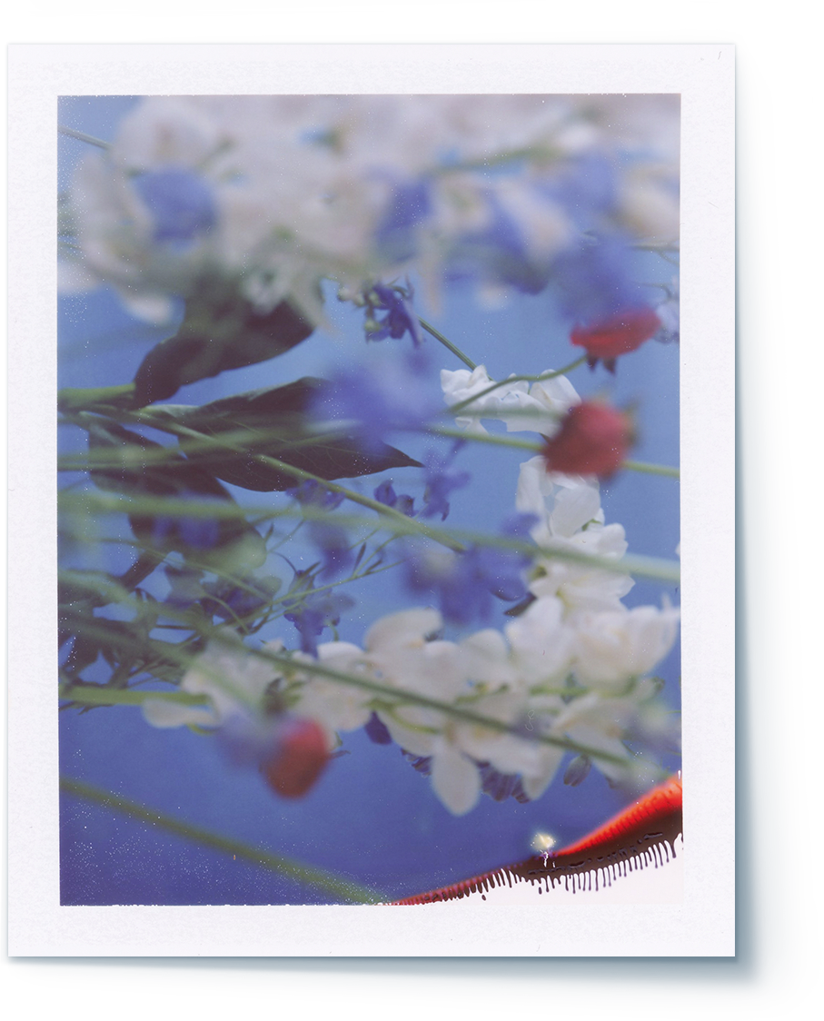 A polaroid photograph shows floral images captured by artist GiSeok Cho.
