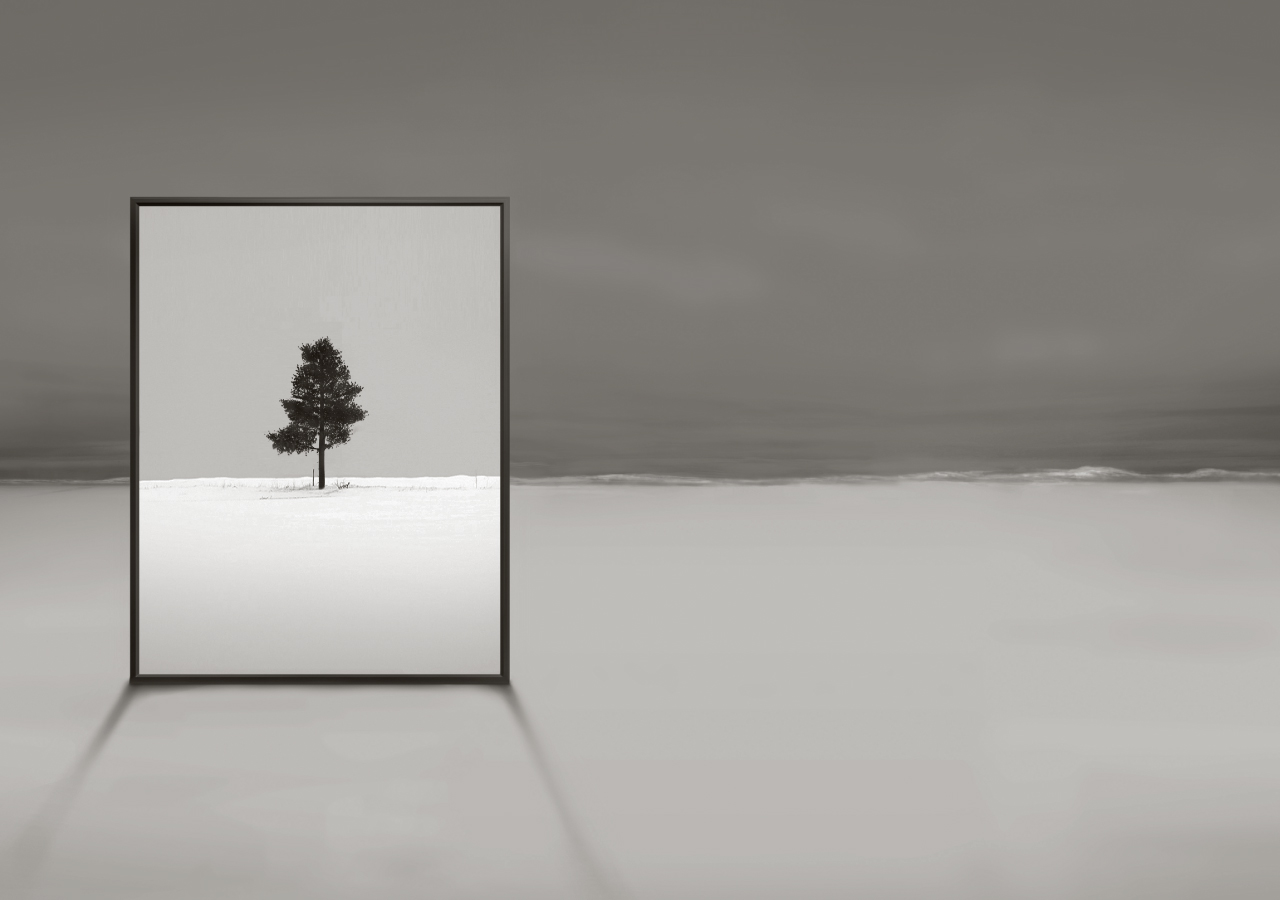 There is a frame the picture of pine tree is in.