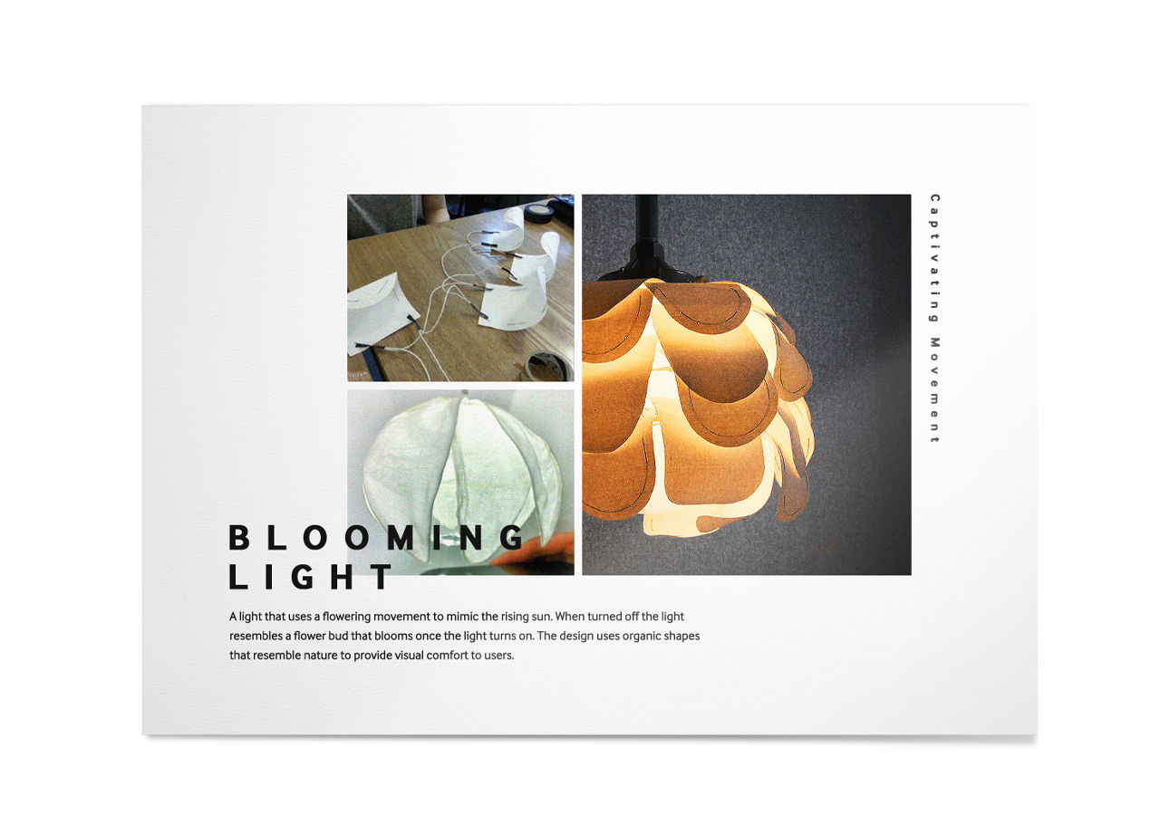 An image of Blooming Light.