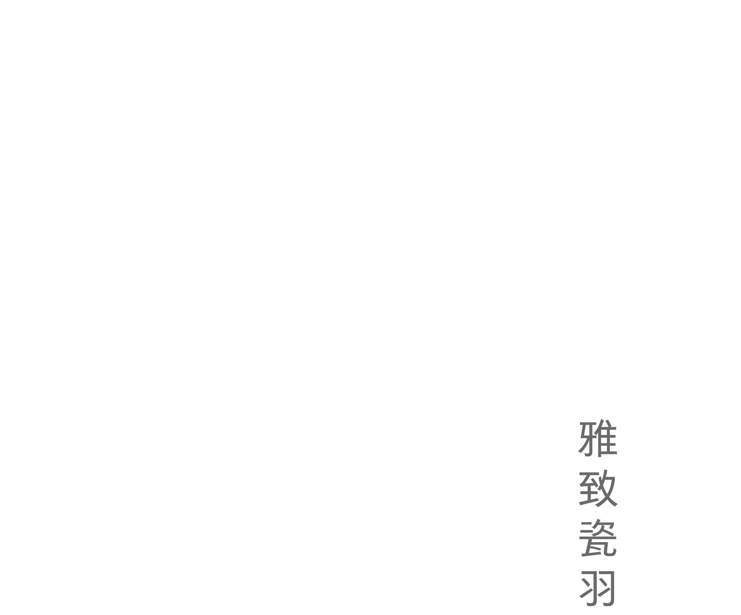 雅致瓷羽