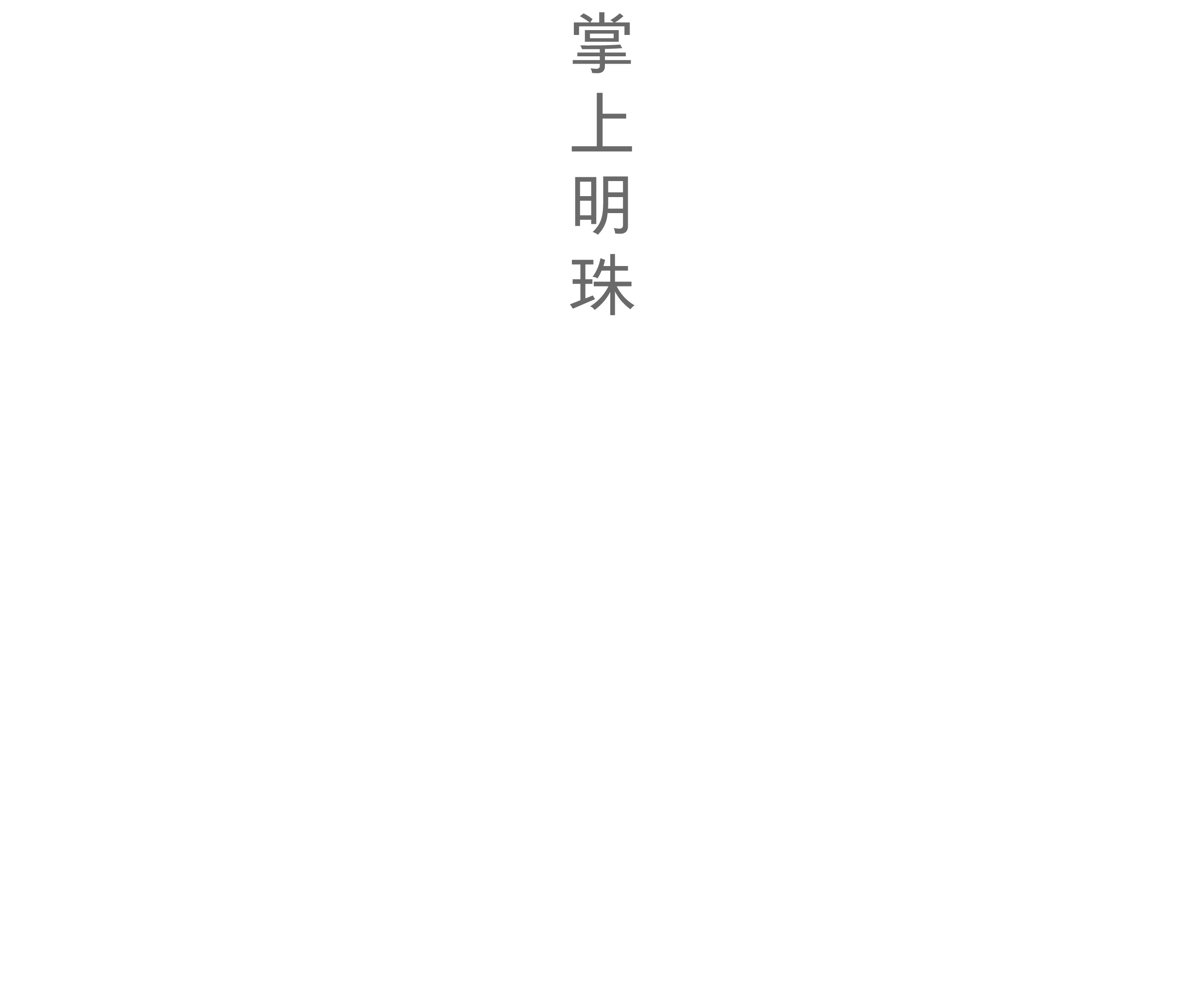 掌上明珠