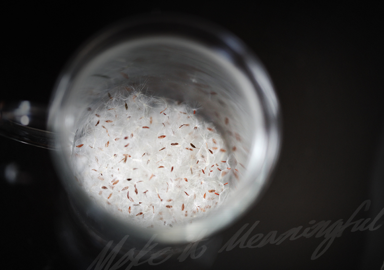 디자이너 정다운 전시 작품 이미지가 있습니다. 현재 화면은 배경 이미지가 자동으로 다른 이미지로 전환되는 효과를 포함하고 있습니다.