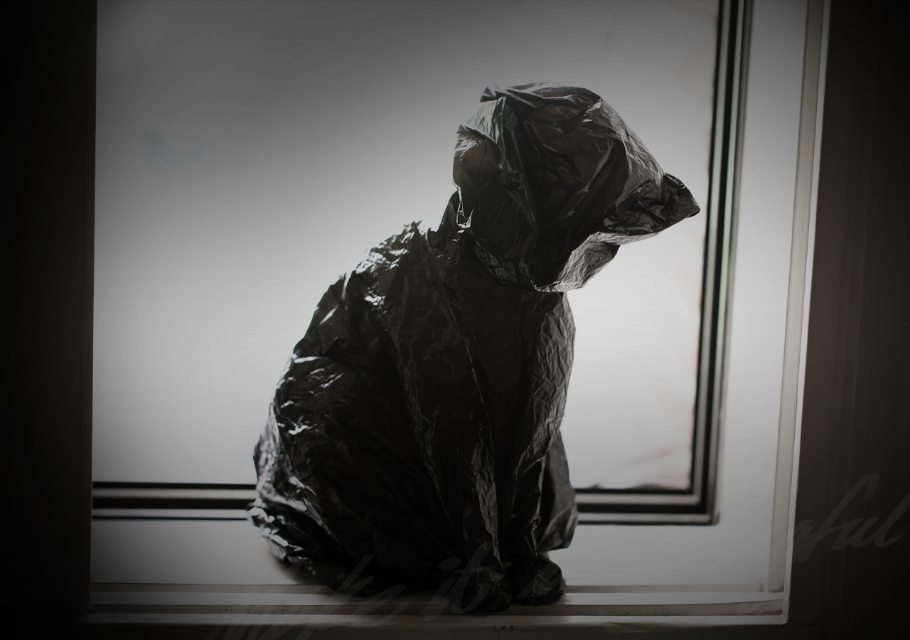 디자이너 송수영 전시 작품 이미지가 있습니다. 현재 화면은 배경 이미지가 자동으로 다른 이미지로 전환되는 효과를 포함하고 있습니다.