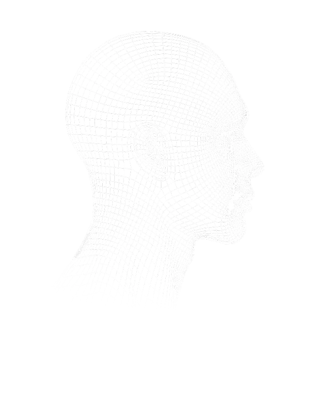 오른쪽을 향한 인물의 두상 측면 형태를 표현한 메시 라인 이미지.