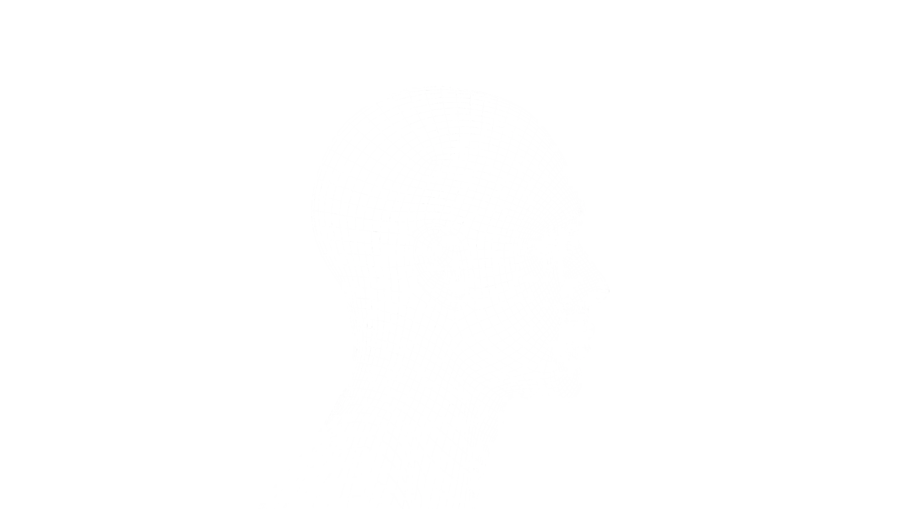 오른쪽을 향한 인물의 두상 측면 형태를 표현한 메시 라인 이미지.