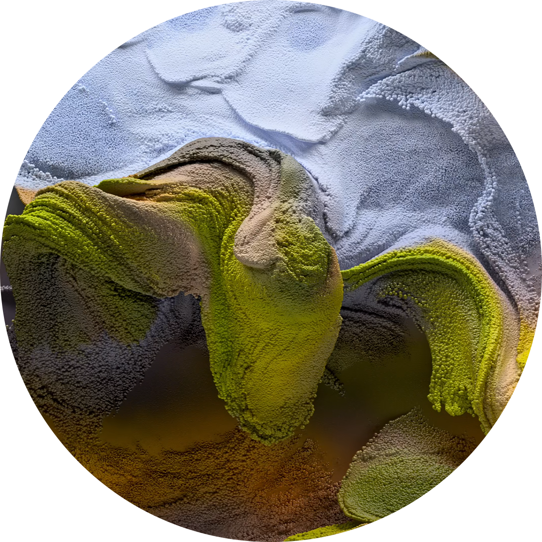 레픽 아나돌의 두 번째 작품인 Land Dreams입니다.