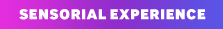 SENSORIAL EXPERIENCE