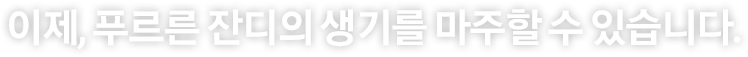이제 맑고 청명한 하늘을 느낄 수 있습니다.